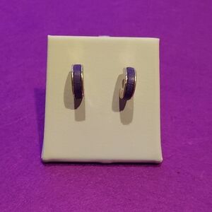Elegant Silver And Purple Hoop Earrings